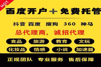 竞价广告案例分析：品牌成功之道